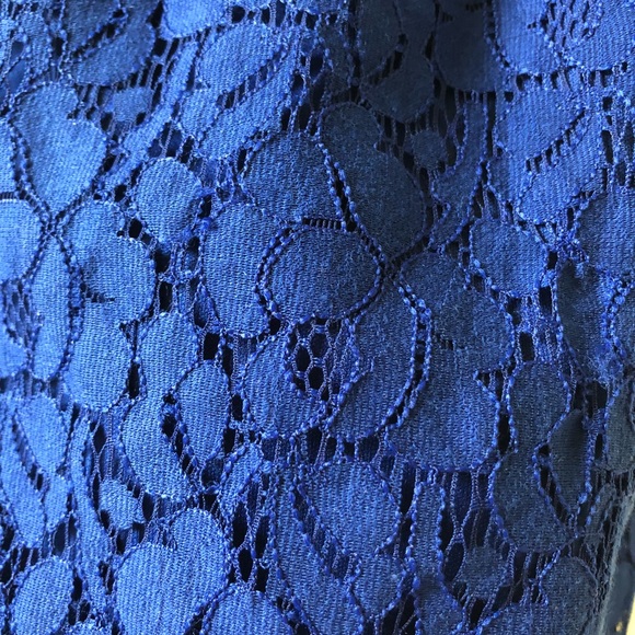 The Limited Cobalt Blue Lace Top - Picture 9 of 13